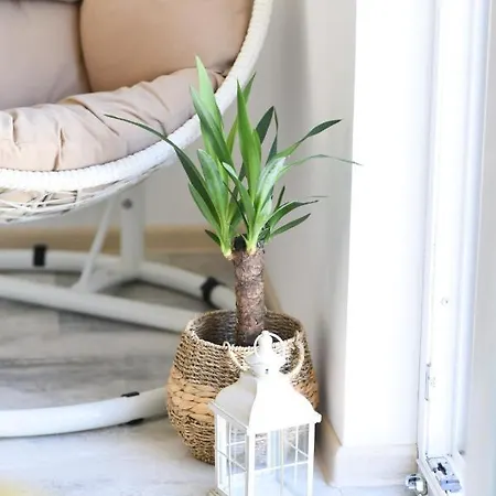 Apartment Pappy Novi Sad